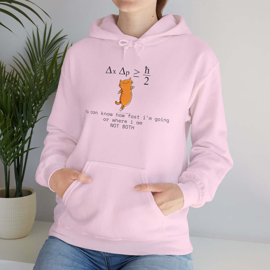 Uncertainty Purrinciple Hoodie