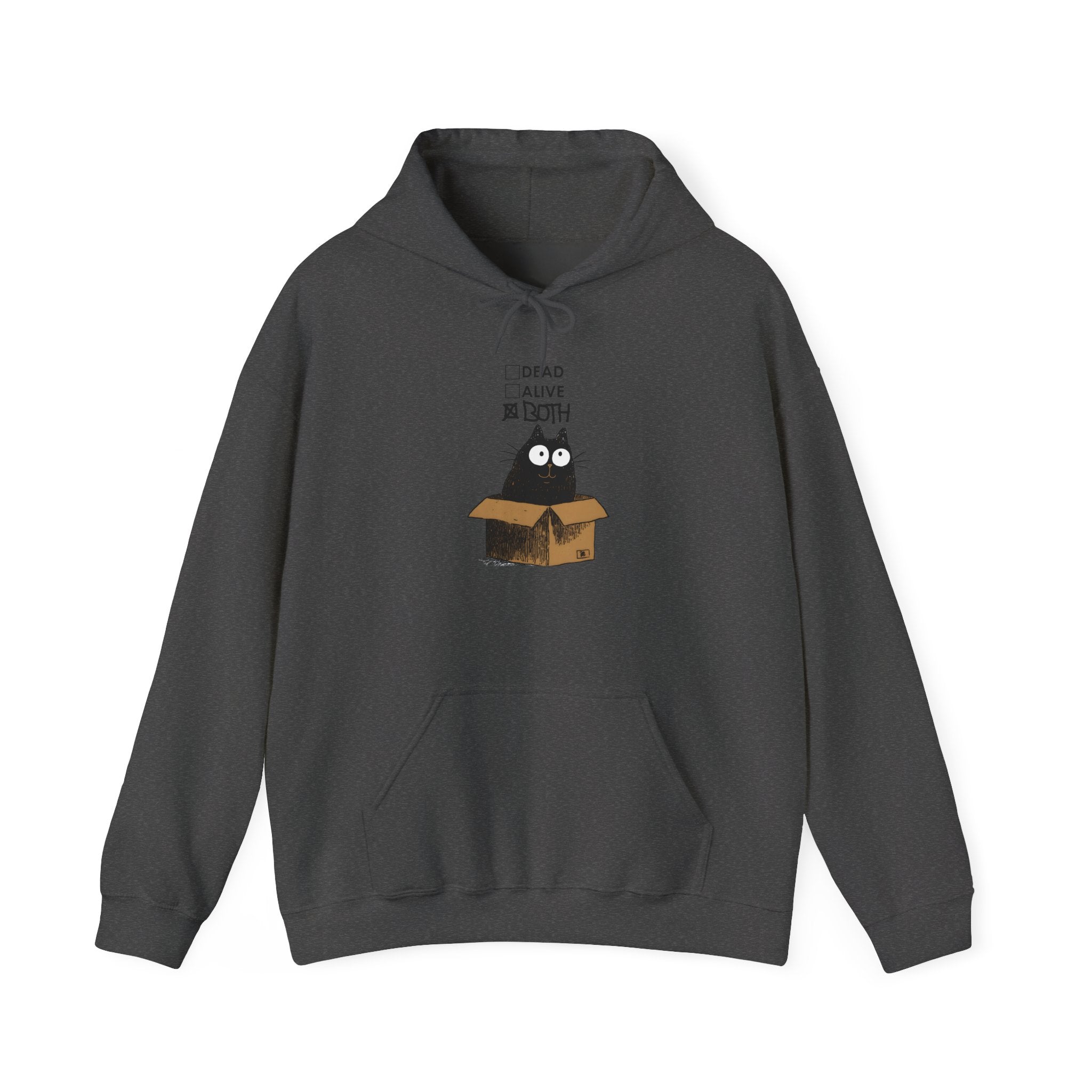 Schrödinger's Cat Hoodie