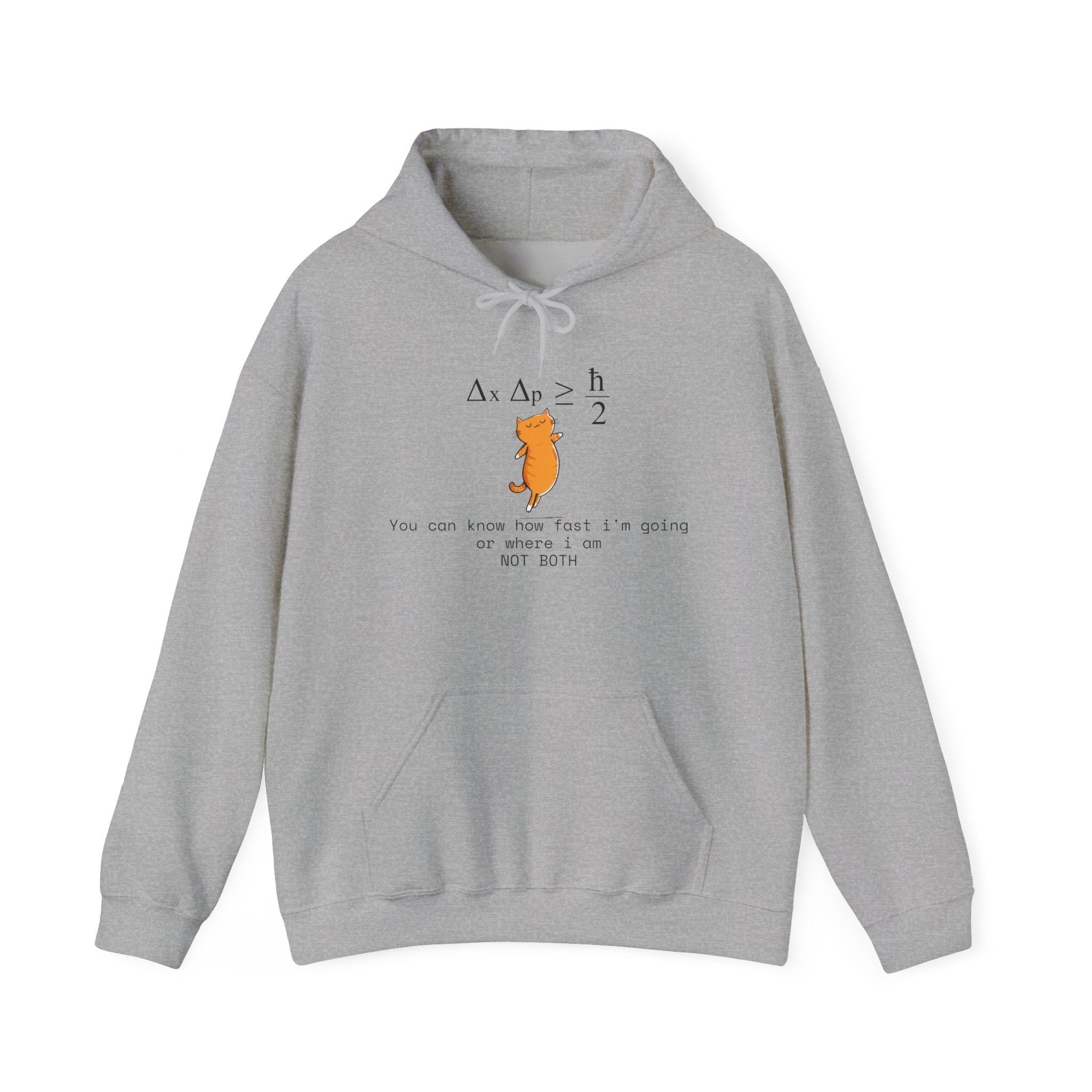Uncertainty Purrinciple Hoodie