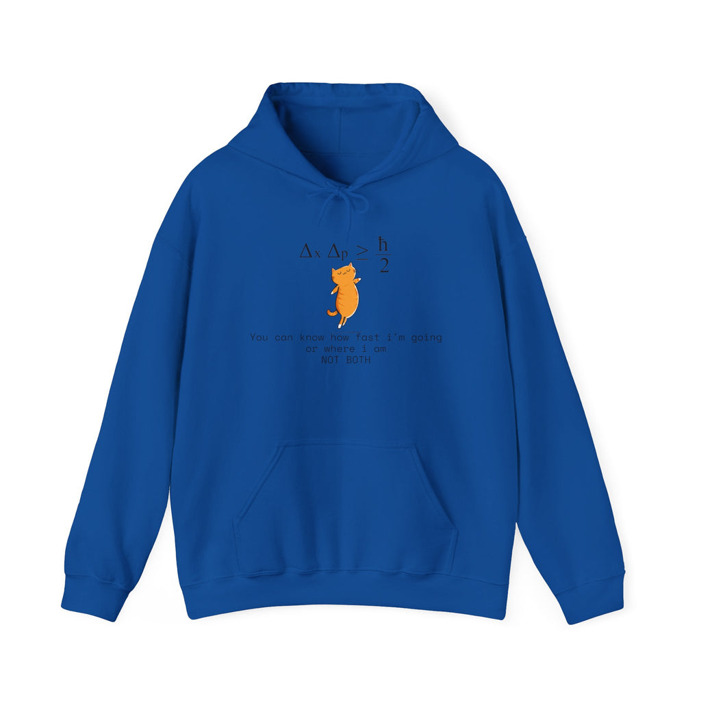 Uncertainty Purrinciple Hoodie