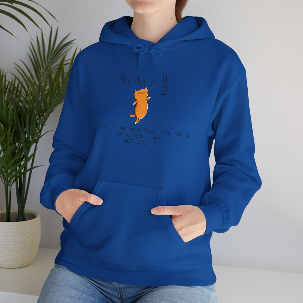 Uncertainty Purrinciple Hoodie