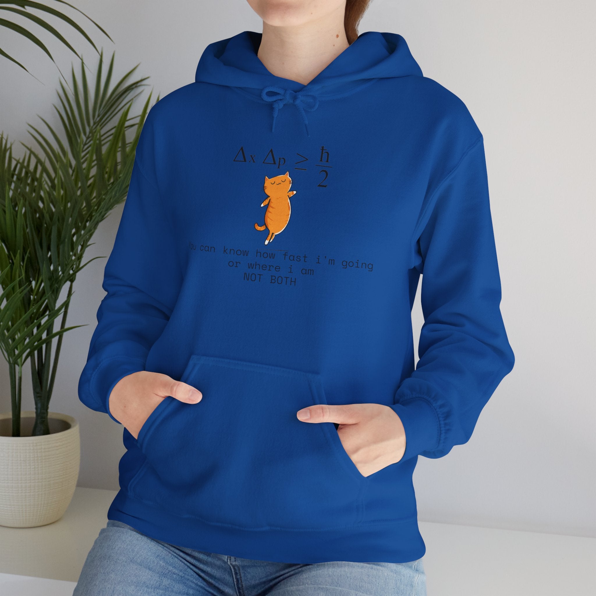 Uncertainty Purrinciple Hoodie