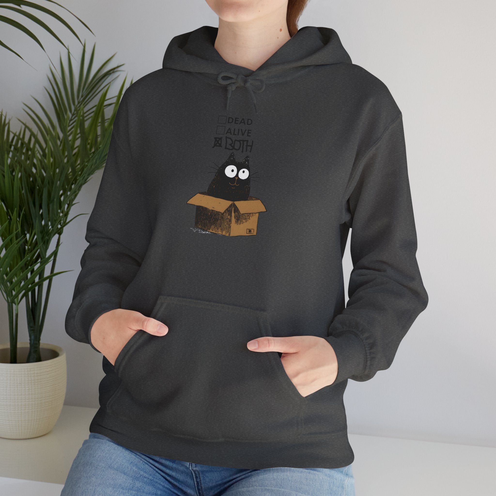 Schrödinger's Cat Hoodie