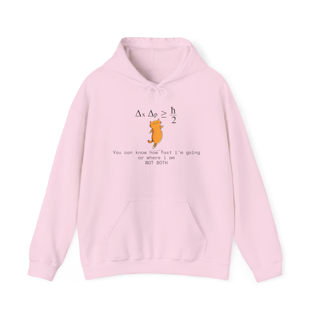 Uncertainty Purrinciple Hoodie