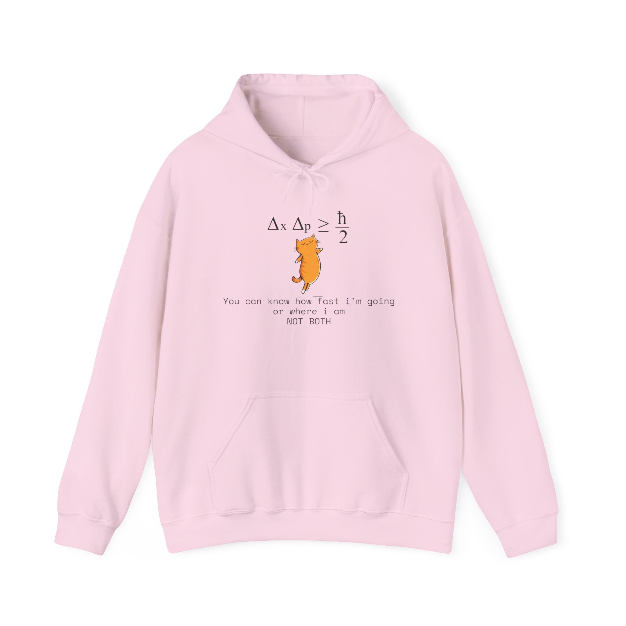 Uncertainty Purrinciple Hoodie